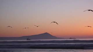 vallenatos románticos | musica clasica gratis screenshot 2