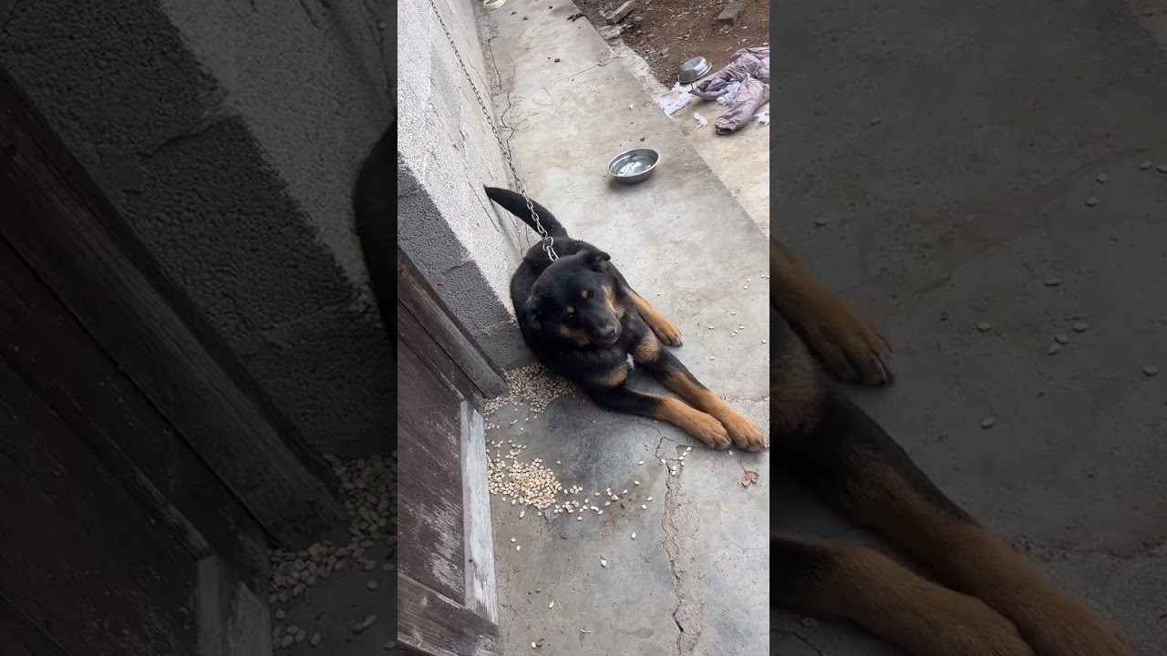 The writing is as long as a rope, the words are square like a box