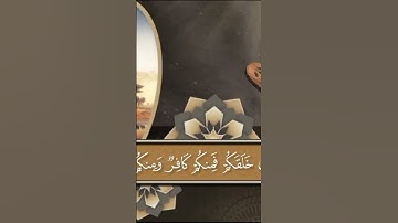 #تلاوات #تلاوه #تلاوة_خاشعة #راحة_نفسية #قران_كريم #راحه_نفسيه