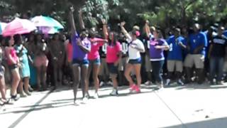 SLG Stroll Fest 2010 IU