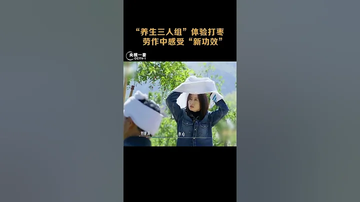 尼格买提、刘敏涛体验打枣，辛勤劳作却体验到了不一样的“功效” | CCTV“山水间的家” - 天天要闻