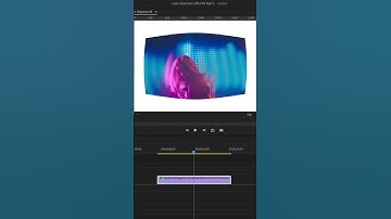 Fish eye effect | Premium Pro