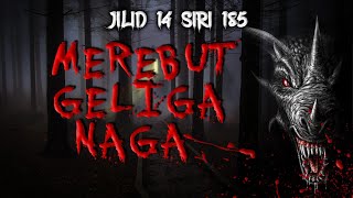 Tamar Jalis - Siri Bercakap Dengan Jin - Jilid 14 - Siri 185 MEREBUT GELIGA NAGA