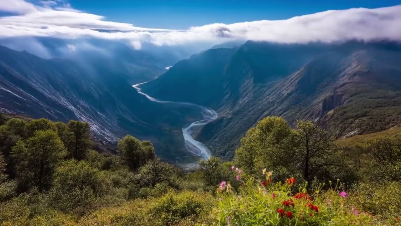 Calm Music in the Mountains 🌿 Peaceful Nature Sounds