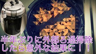 半年放置した濾過装置を掃除したら意外な結果に！！