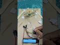 Creating air pressure using a DC motor.#dc motor #shorts #ytshorts