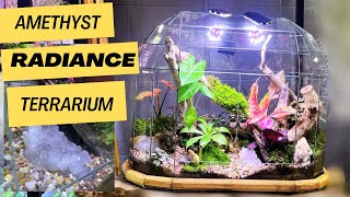 Amethyst Radiance: how to make terrarium with colorful plant and Gemstone Garden by Mania plant 371 views 5 months ago 9 minutes, 6 seconds