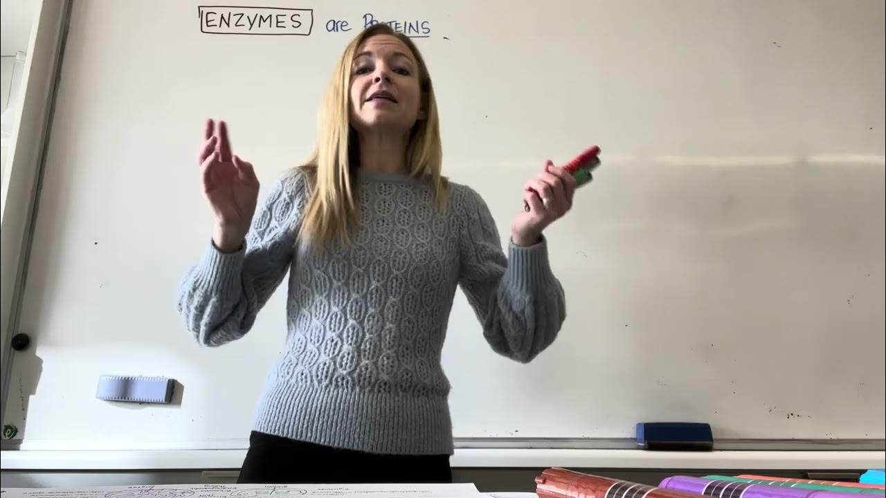 Ib biology topic 8 revision diagrams youtube