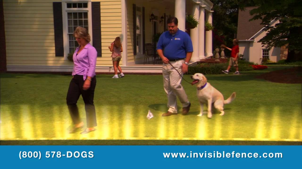 How Invisible Fence Brand Works YouTube