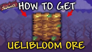 How to Get UELIBLOOM ORE in Terraria Calamity Mod | Uelibloom Ore how to find
