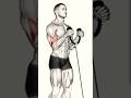 सब कुछ ट्राई कर लिया लेकिन बाइसेप्स का साइज़ ग्रो नहीं हो रहा।rope curl nhi check inner side workout