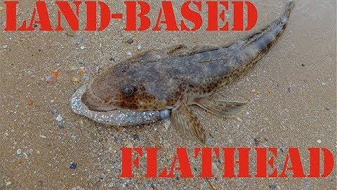 HOW TO CATCH LAND-BASED FLATHEAD