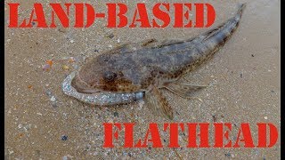 HOW TO CATCH LAND-BASED FLATHEAD