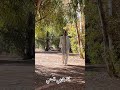 سترت البلايا إلهي الحليم حمزة غريب
