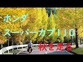 ホンダ スーパーカブ110/メタセコイアの並木/藤枝総合公園