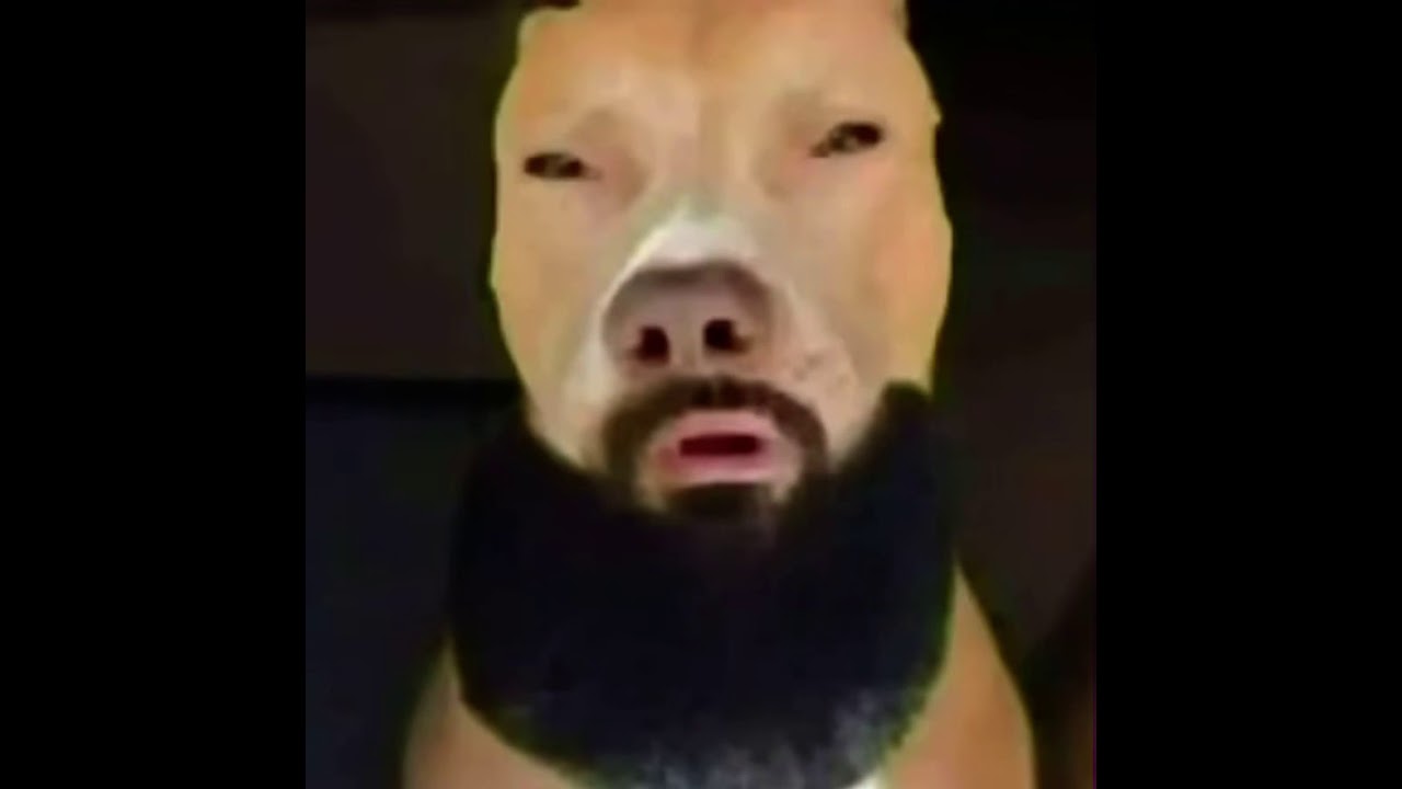 Lightskin dog transformation , oui Jeremih YouTube