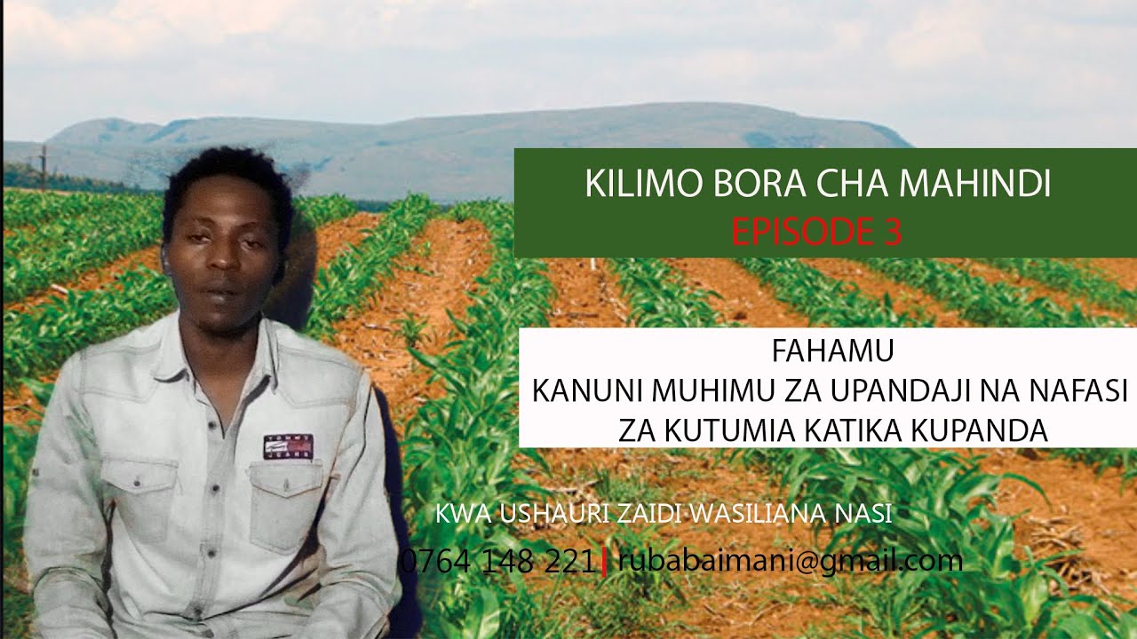 KILIMO BORA CHA MAHINDI EP3: FAHAMU NAFASI UNAZOTAKIWA KUTUMIA KATIKA KUPANDA / KWA MAZAO MENGI