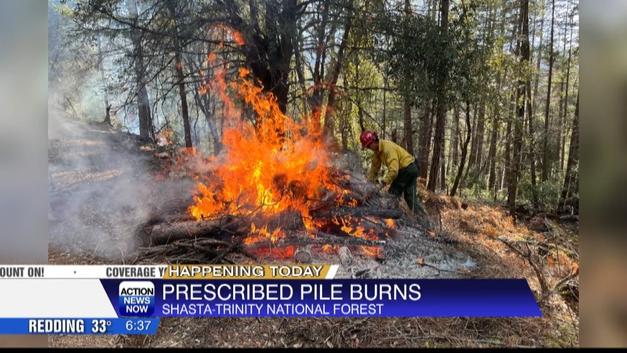 Shasta-Trinity Forest burns: 49 acres in McCloud area Monday