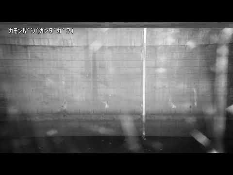 Kanda River Kamon Bridge live cam preview