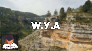 W.Y.A | C-DOT 416