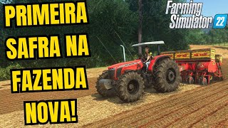 MINHA FAZENDA NOVA VAI FICAR INCRIVEL!