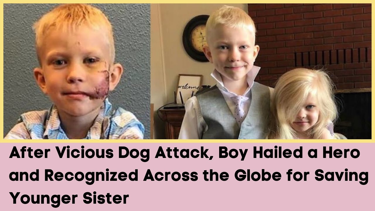After Vicious Dog Attack, Boy Hailed a Hero & Recognized Across the ...