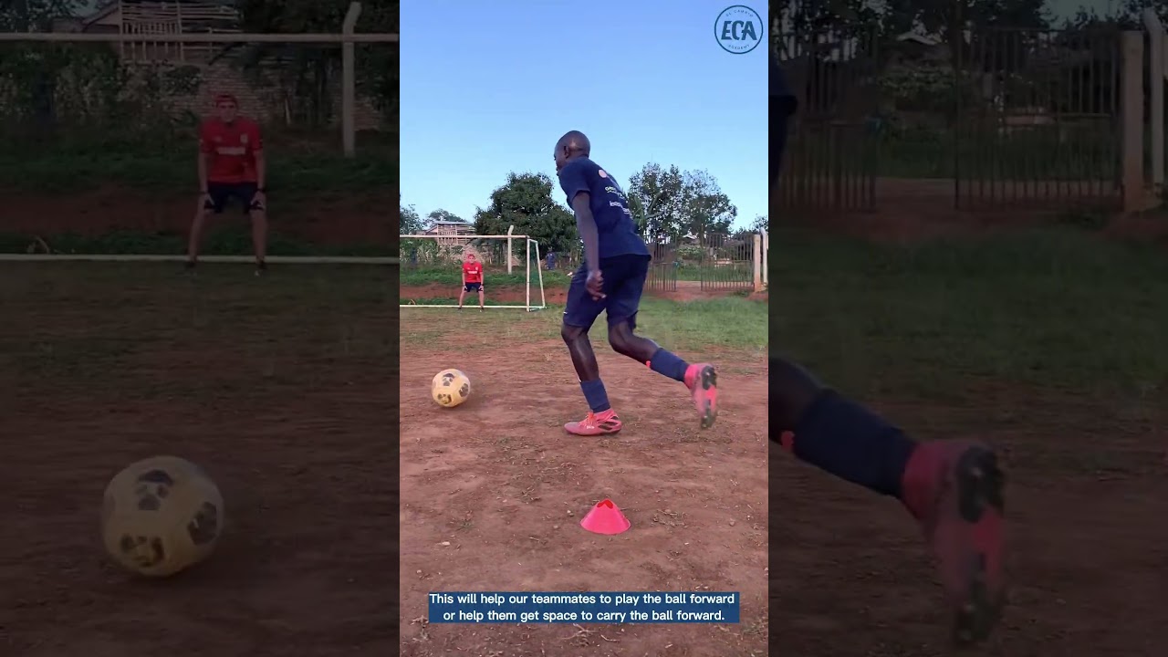 ECA objectives -  Find an efficient way out