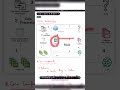 RAG Architecture explained | End to end RAG | Day 5 of 50 days RAG | LLM and RAG playlist #genai #ai