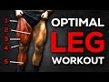 The best leg day for muscle growth according to science
