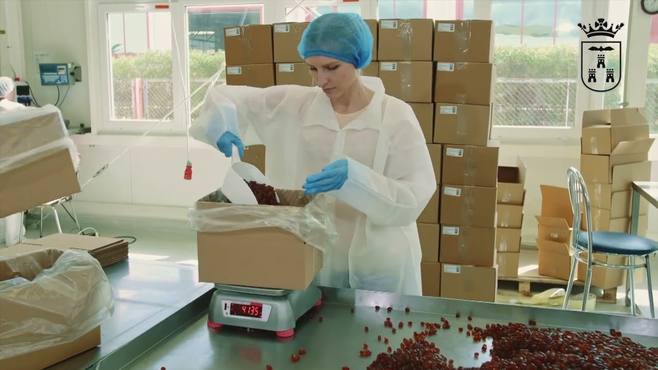 PRESENTACIÓN ALBACETE CIUDAD 2022 (ESP)