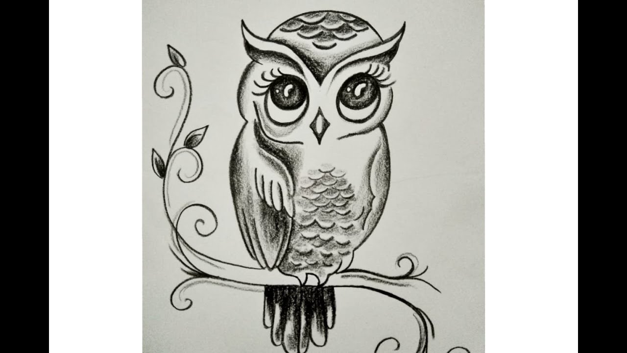 Simple Cute Owl Drawing - tortagialla