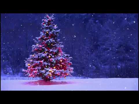 Video 12 HOUR Beautiful Christmas Lullaby • Music Box • Soft... - youtube