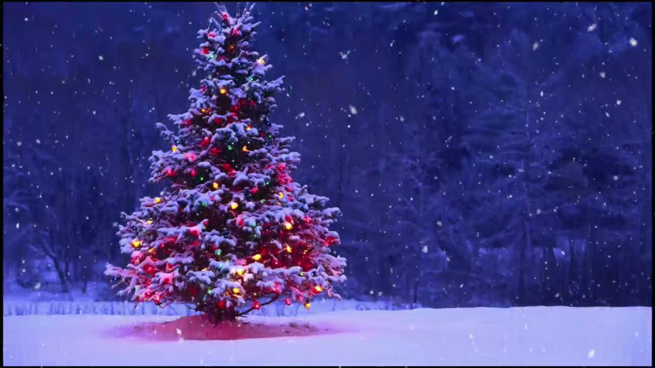 12 HOUR Beautiful Christmas Lullaby • Music Box • Soft Instrumental Christmas Music • Sleep Music