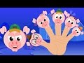 piggies finger family | five little piggies | nursery rhymes | kids songs | baby videos