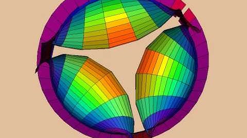 Catenoid Enneper - Evolve