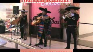 Miniatura de vídeo de "Alejo Y Su Mariachi -Mi Forma De Sentir  www.mariachis-chile.cl"