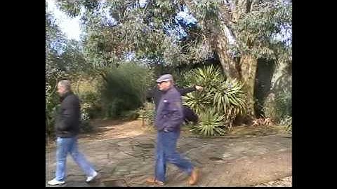 Wu Style Tai Chi Fast Form by Michael W.Acton