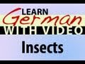 Learn German with Video - Insects