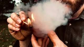 Timber and Smoke Co. Promo