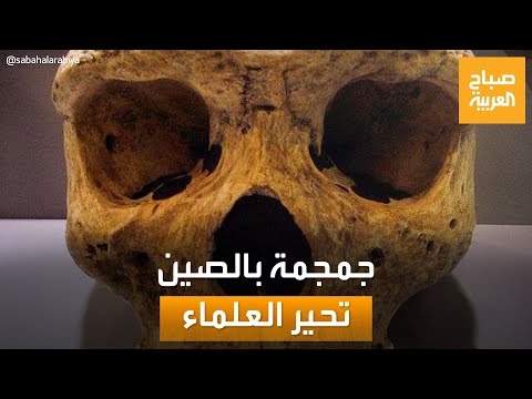 عمرها 300 ألف عام جمجمة غريبة في الصين قد تغير التاريخ البشري