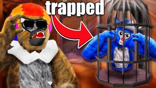 I Trapped Players in Gorilla Tag...