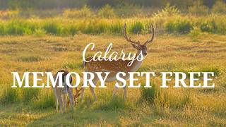 Calarys – Memory Set Free