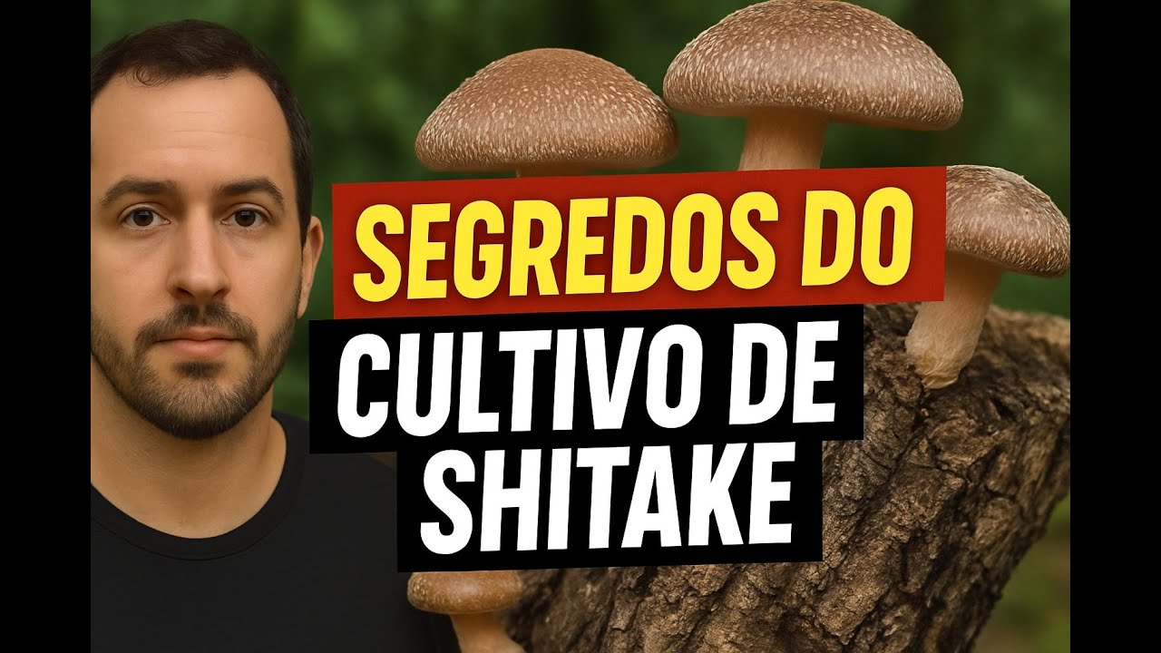 Os Segredos do Cultivo de Shitake que Ninguém Te Conta!