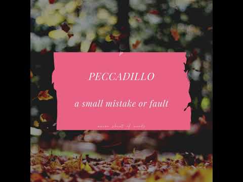Video: Ist das Wort peccadillo ein Substantiv?