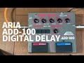 1980年代の激エモなディレイマシーン【ARIA ADD-100】 - YouTube