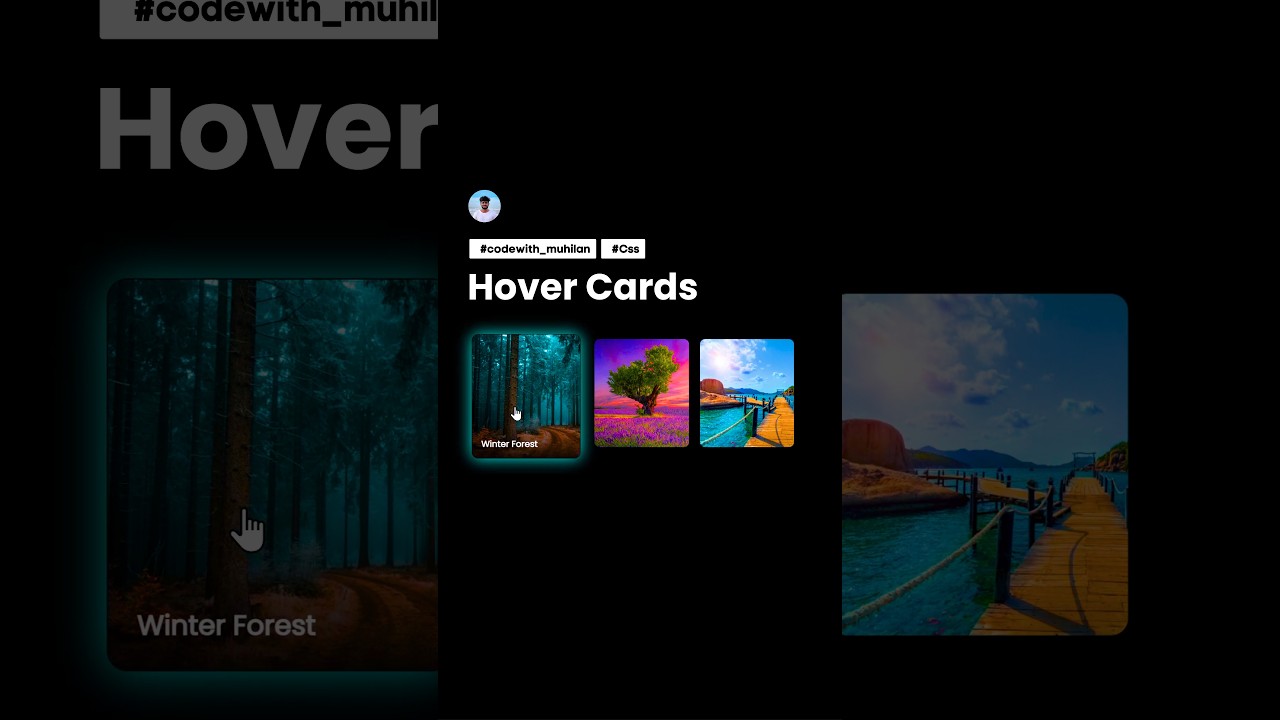 Hover Image Cards #codewith_muhilan #css #coding