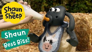 Farm Park 👩‍🌾 Shaun the Sheep Best Bits 💛 Season 6