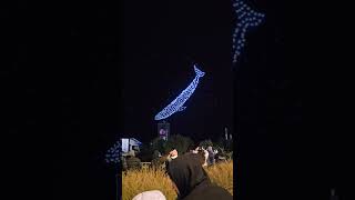 Matariki 2026 Drone Show In Rotorua, New Zealand
