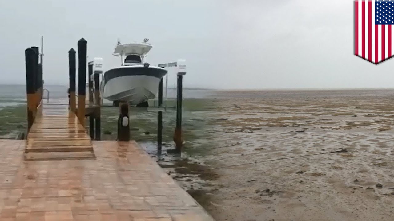 Sucked Up at The Beach!