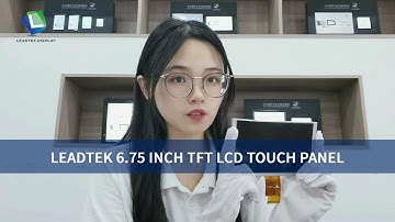 LEADTEK 6.75 INCH TFT LCD TOUCH PANEL